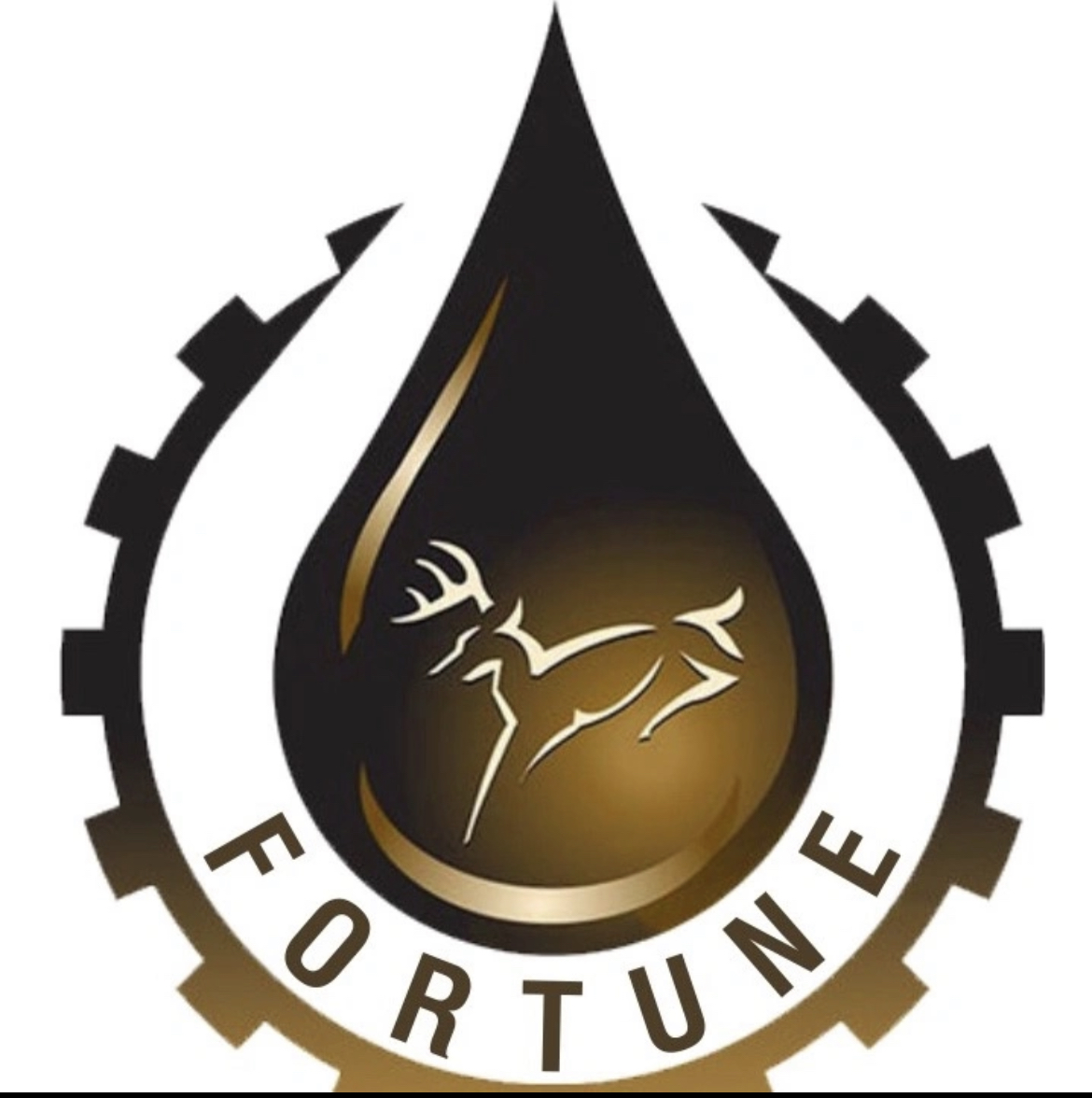 Fortune rent a car